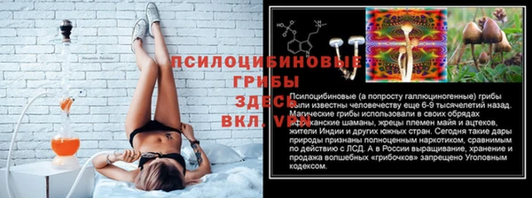спиды Кулебаки